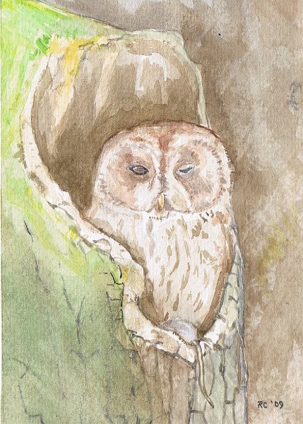 22.jpg - Nowl