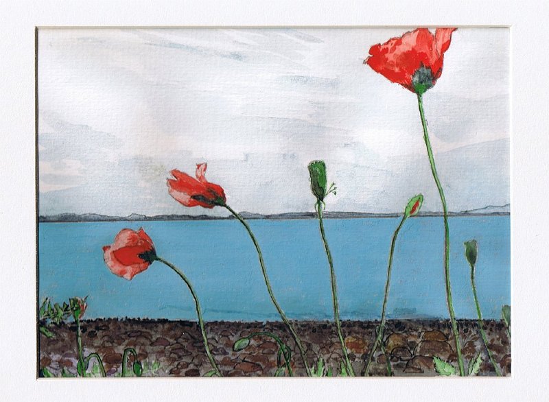 6.jpg - Seaside Poppies