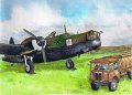 33