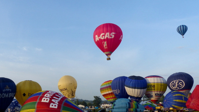 bbf201413.JPG