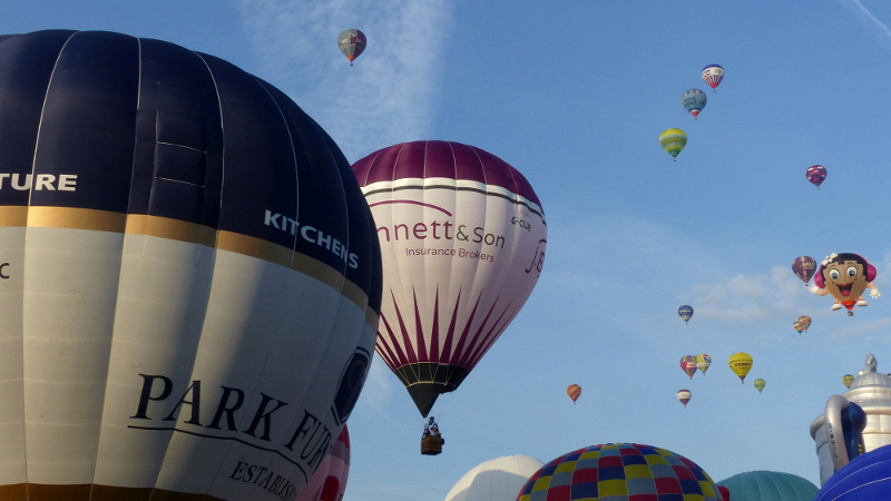 bbf201452.JPG