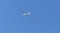 glider
