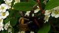 beeeeeeeeeeeeeeee