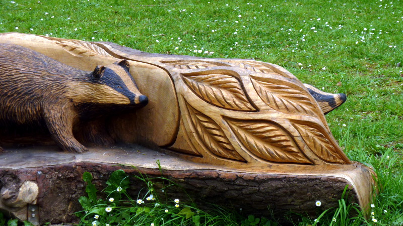 badgers.JPG