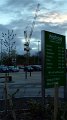waitrose1