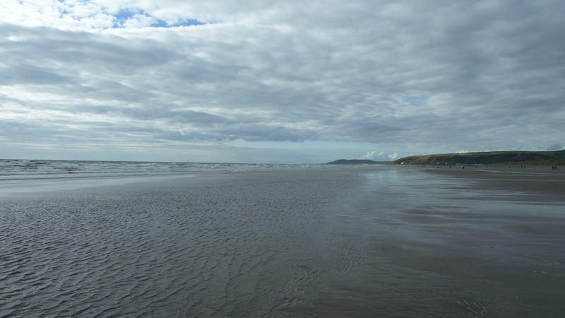 borth1.JPG