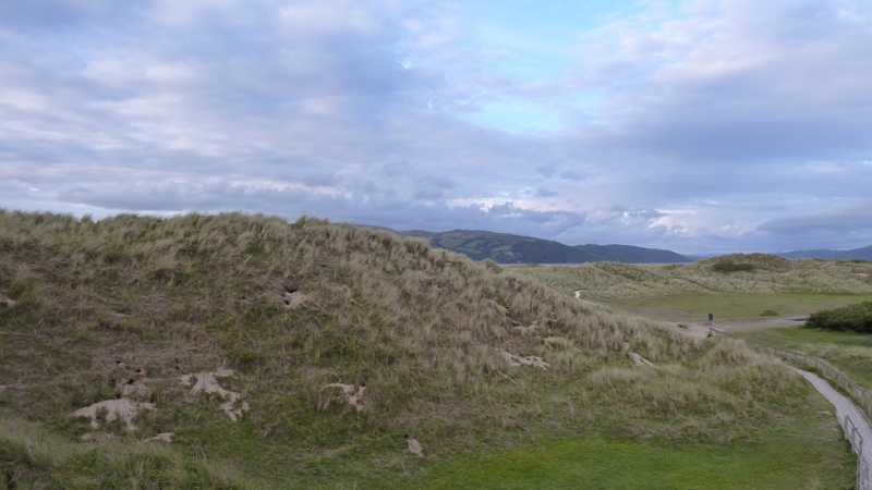 borth10.JPG
