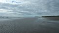 borth1