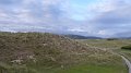 borth10