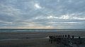 borth12
