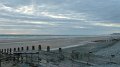 borth13