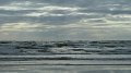 borth2