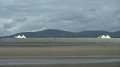 borth4