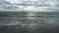borth6