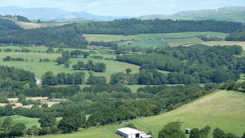 countryside1.JPG