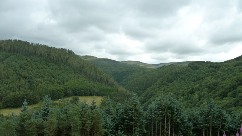 countryside10.JPG