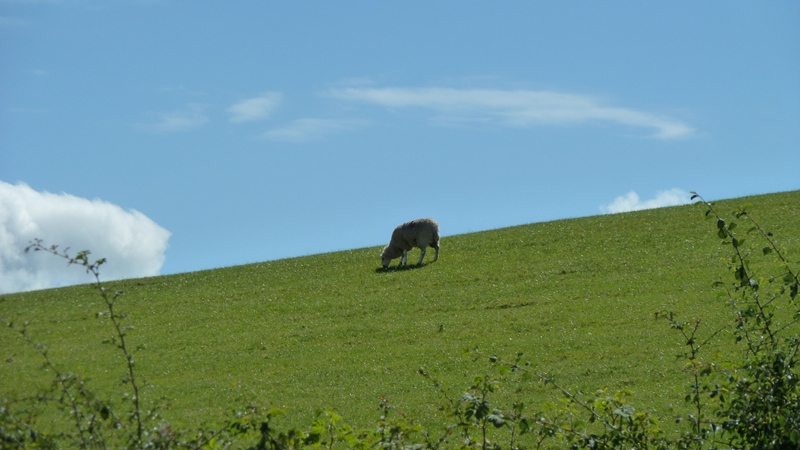 countryside2.JPG