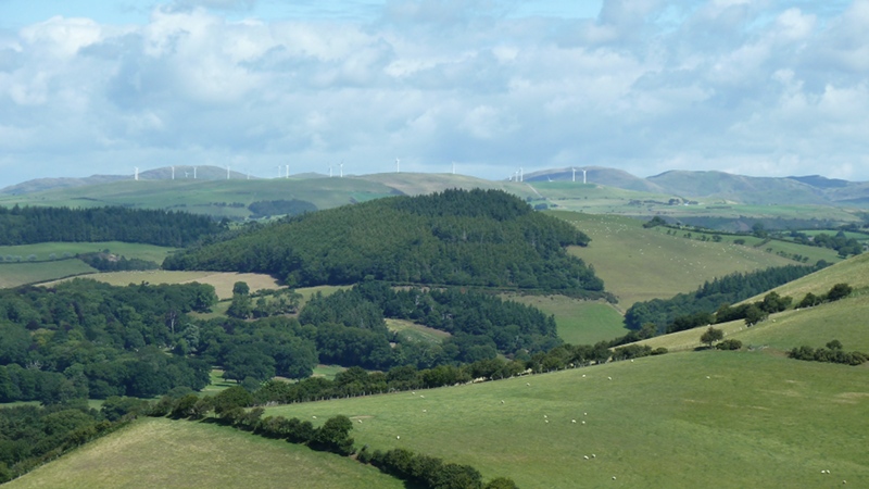 countryside3.JPG
