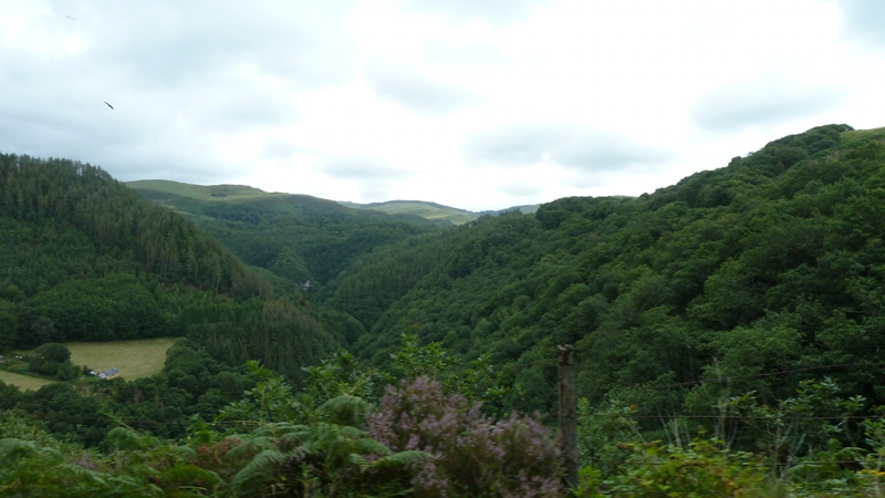 countryside9.JPG