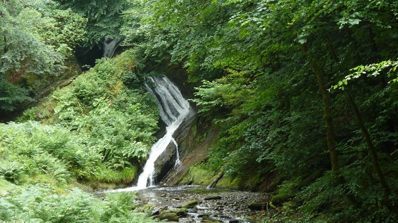 hafod12.JPG
