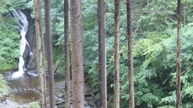 hafod3.JPG