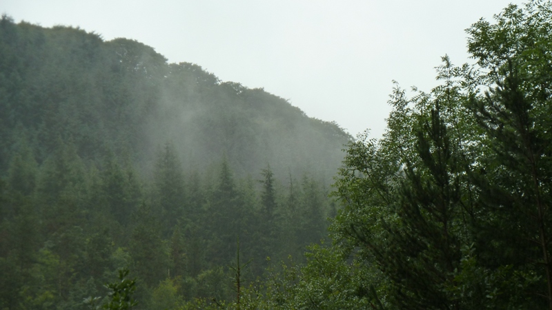 hafod7.JPG