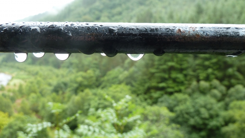 hafod8.JPG