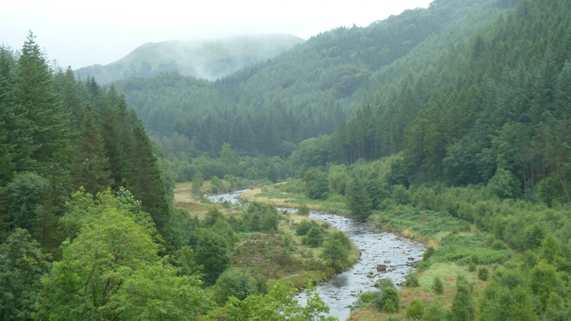 hafod9.JPG