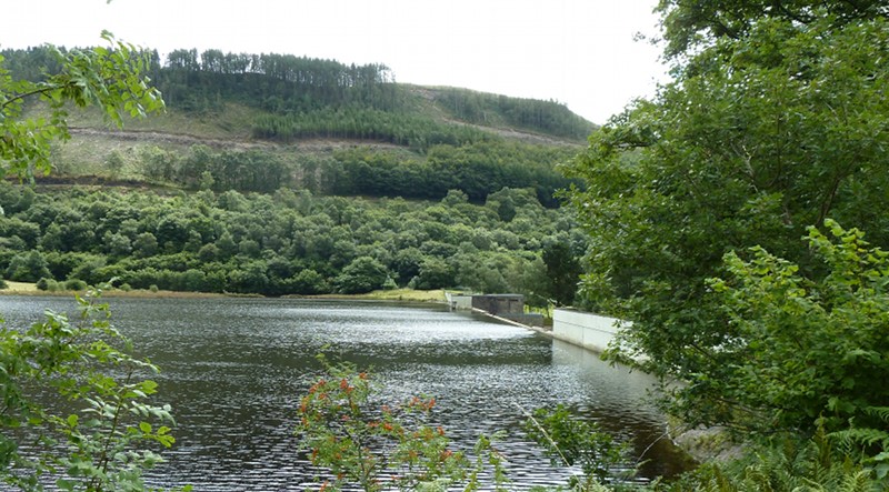 hydro11.JPG