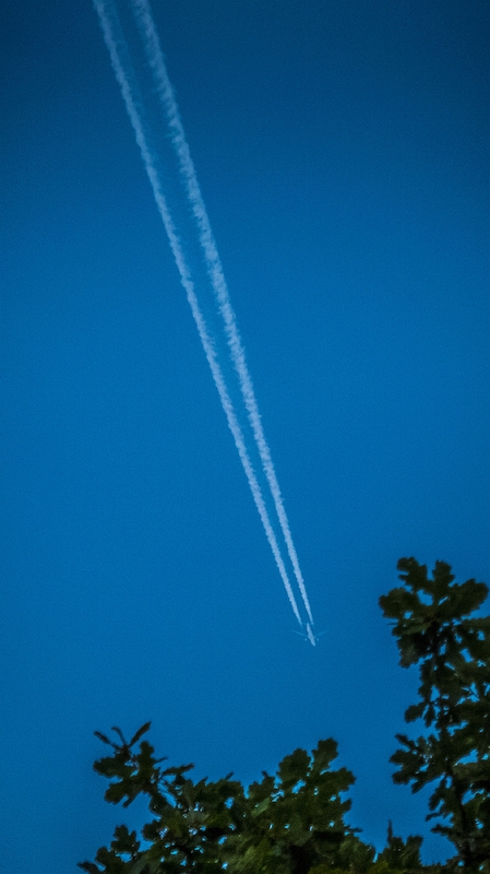 P1200675-1.jpeg