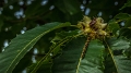 P1200615-1