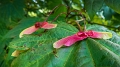 P1200624-1