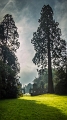 P1200655-1