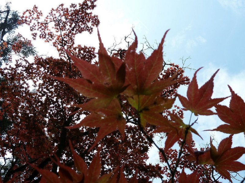 P1010106.JPG