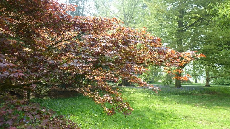 P1010147.JPG