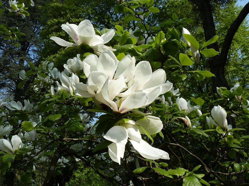 P1010229.JPG