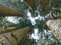 P1010167
