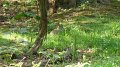 P1010174