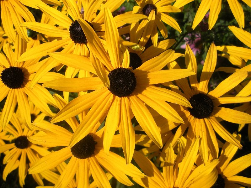 DSCN2936.JPG