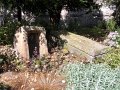 DSCN2935
