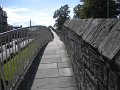 DSCN2959